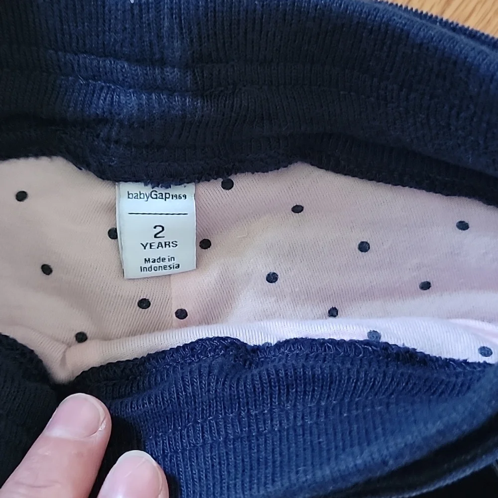Baby Gap 1969 Blue Corduroy Pink Lined Pants
